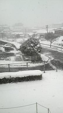吹雪の中の「特別＆推薦入試」_d0103155_15472036.jpg