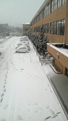 吹雪の中の「特別＆推薦入試」_d0103155_1547431.jpg